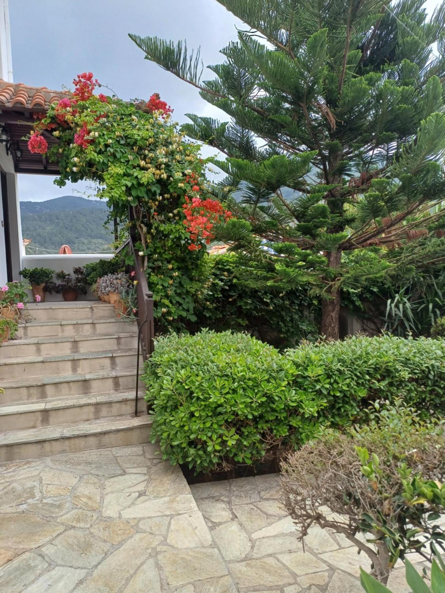 Nikolaos Studios Apartments Skopelos Buitenkant foto